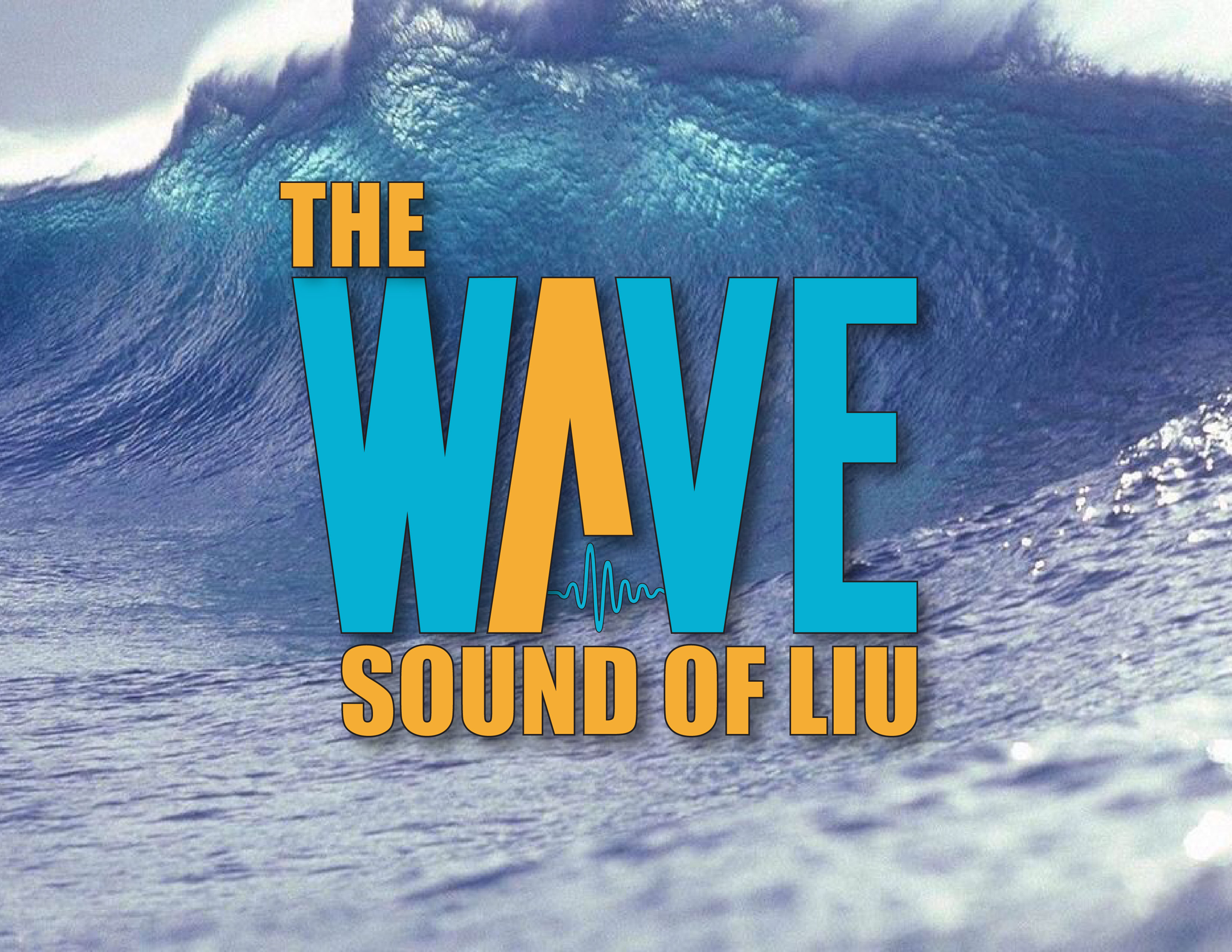 Long Island University The Wave Radio Station