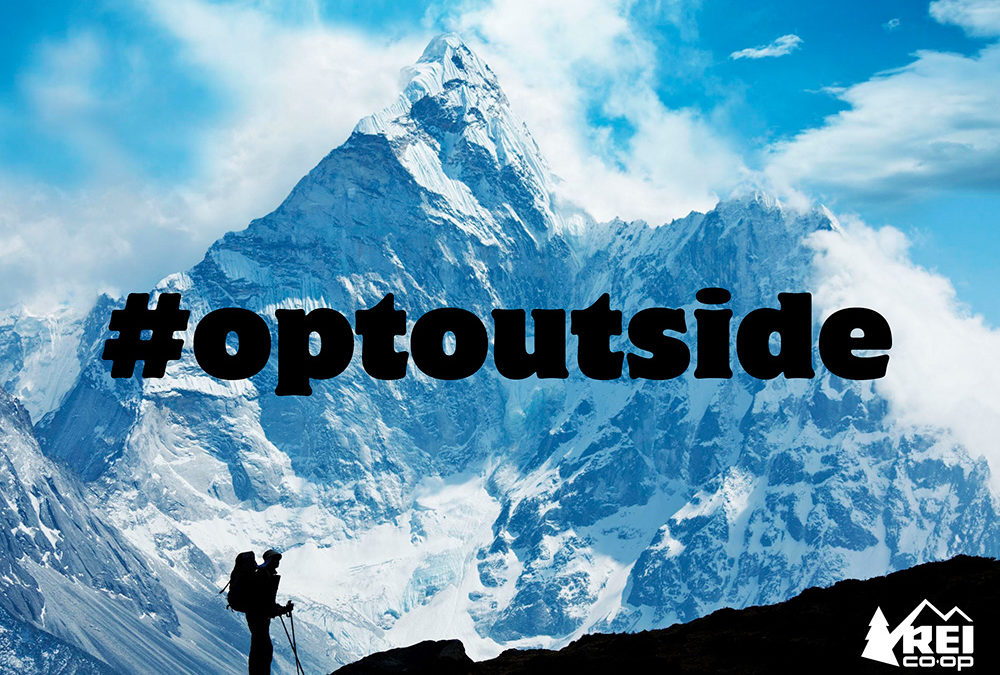REI Mock Advertisements