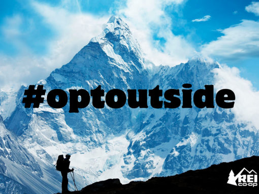 REI Mock Advertisements